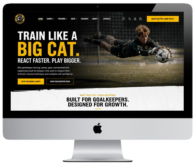 Big Cat New Website Design by Tier One Solutions